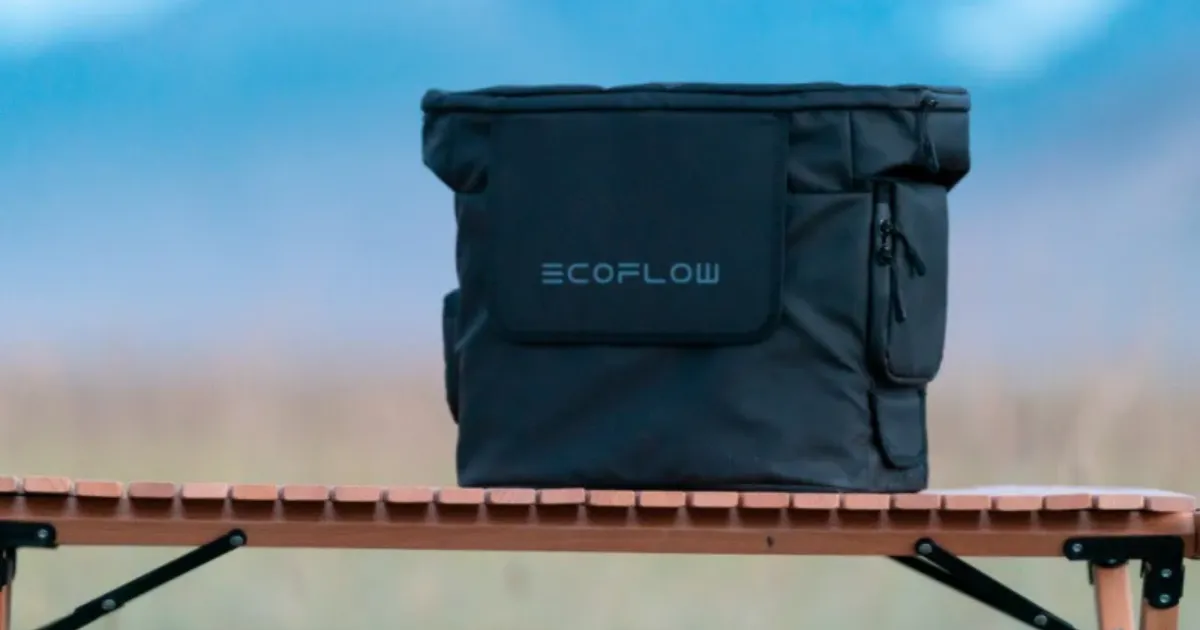 EcoFlow DELTA 2 Bag tanzania
