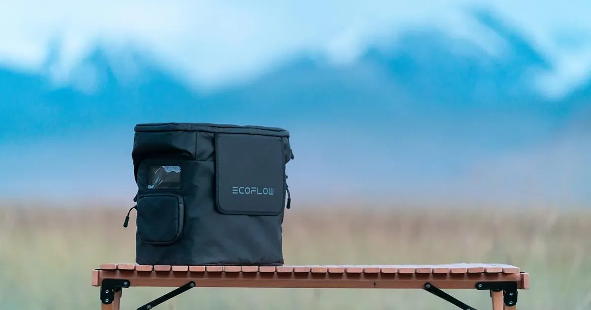 EcoFlow DELTA 2 Max Bag tanzania