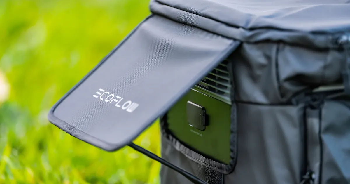 EcoFlow DELTA 2 Max Bag tanzania