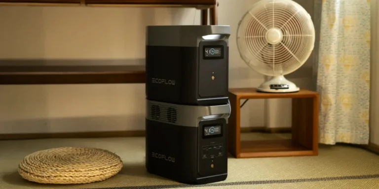 EcoFlow DELTA Pro with extra battery for extended use in Tanzania