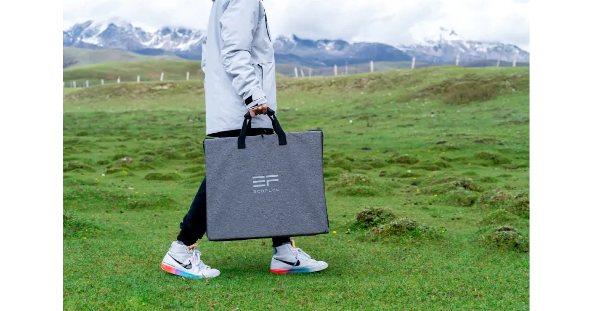 EcoFlow Portable Solar Panel 110W tanzania