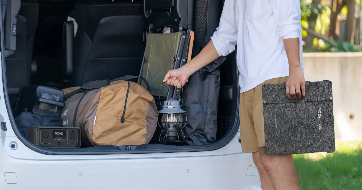 EcoFlow Portable Solar Panel 60W tanzania