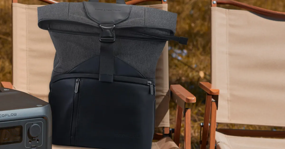 EcoFlow RIVER 2 Series Bag tanzania