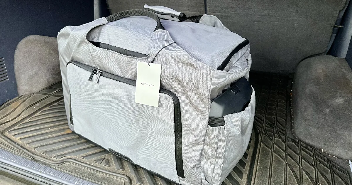 EcoFlow WAVE 2 Bag tanzania