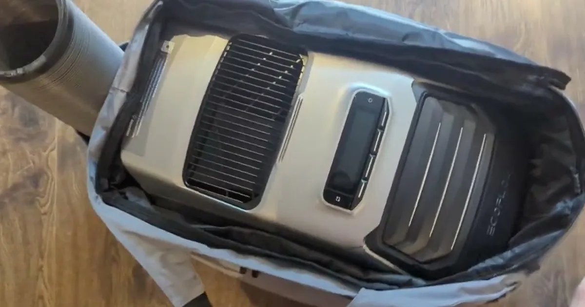 EcoFlow WAVE 2 Bag tanzania