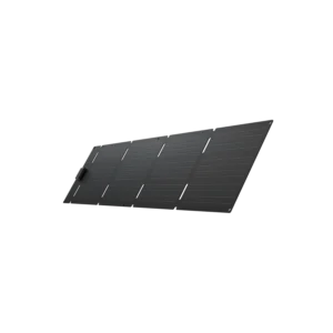 EcoFlow Portable Solar Panel 60W